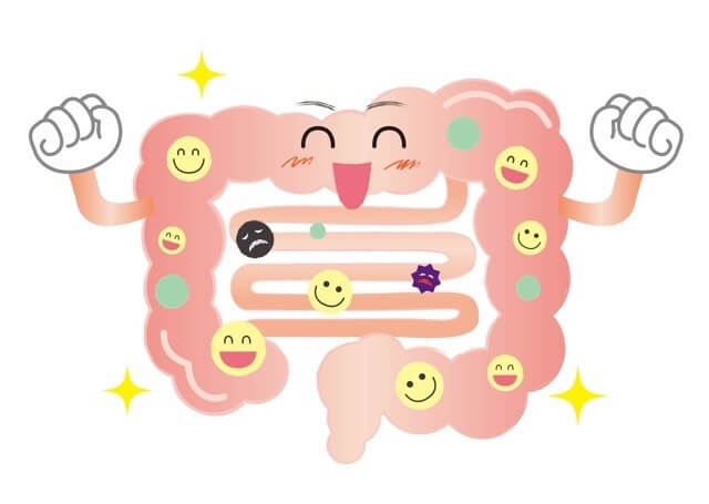腸の状態が良いと落ち着いて勉強ができるようになります。